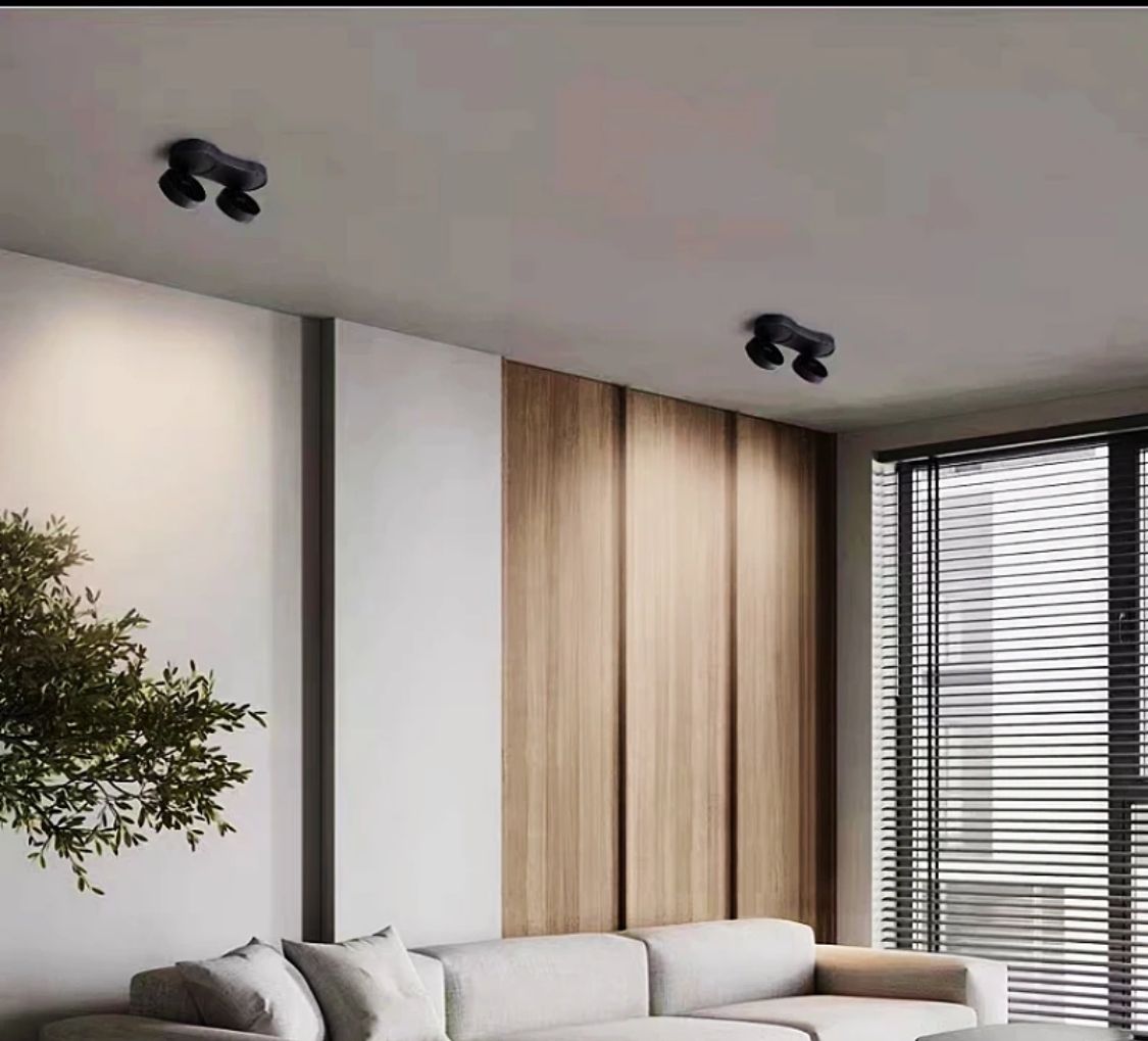 DIRIGIBLE DOBLE DE TECHO